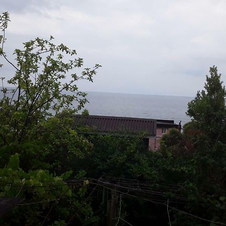 Zeleniy Dvorik Guest House New Athos Εξωτερικό φωτογραφία